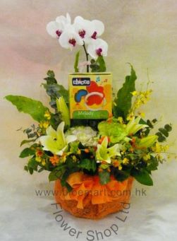Baby Gift - Flower Arrangement - CODE 41999